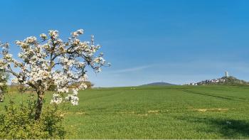 Osterfeiertage mit ungewohnten Regeln
