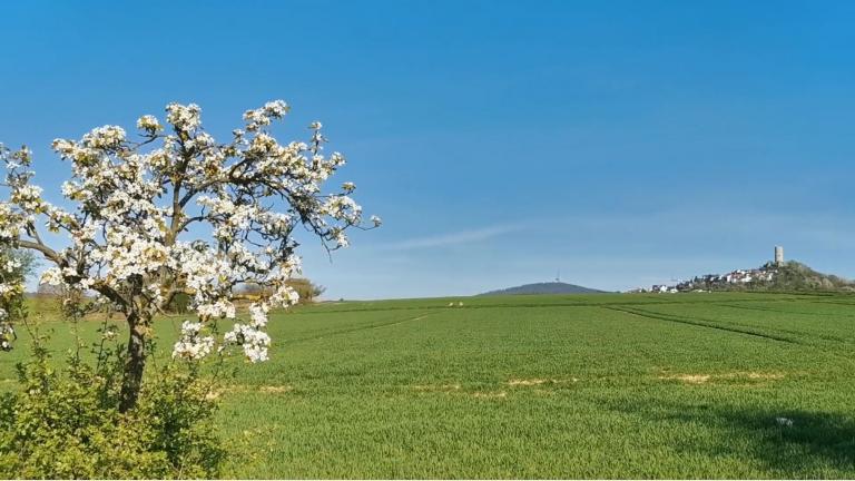 Osterfeiertage mit ungewohnten Regeln