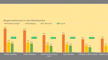 Ergebnis in den Wahlbezirken