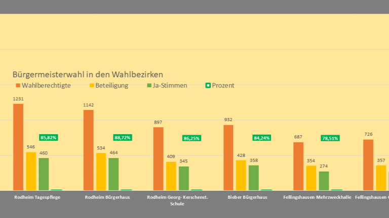 Ergebnis in den Wahlbezirken