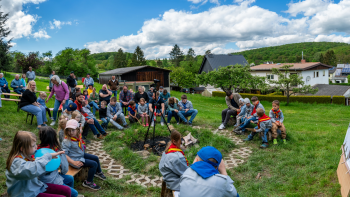 Frankenbacher Turmfalken