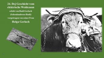 Die Geschichte vom elektrischen Weidezaun