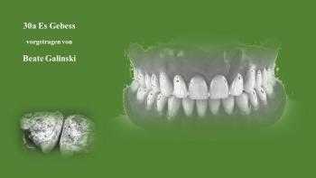 Das Gebiss