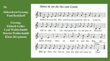 Siehst Du nicht die Schweine im Garten 