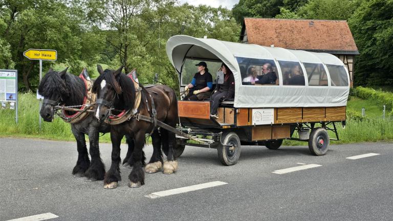 Museumstag mit Kutschfahrt