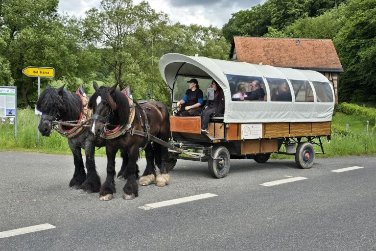 Museumstag mit Kutschfahrt