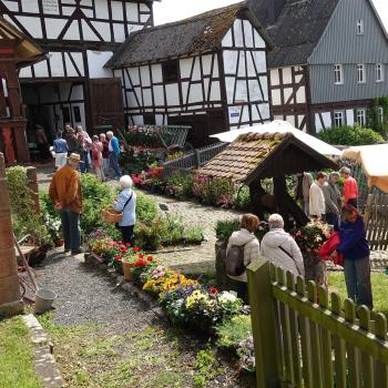Pflanzenangebot im Außenbereich vom Bauernhausmuseum Hof Haina