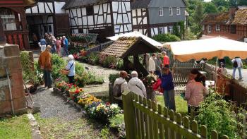 Pflanzenangebot im Außenbereich vom Bauernhausmuseum Hof Haina