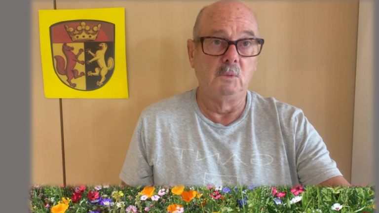 Blühstreifen off Platt