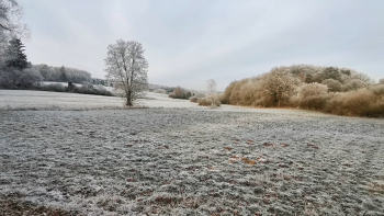 Mystischer Dünsberggrund an einem kalten Wintertag
