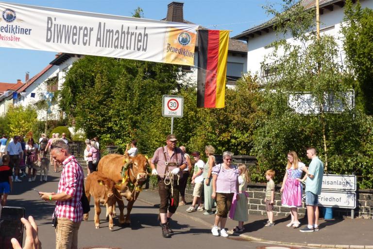 15. Biwwere Almabtrieb