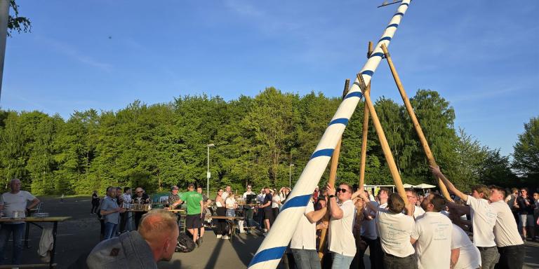 Die Burschen der Biwwere Krähre stellen den Maibaum auf