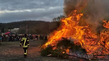 Die Tannenbäume von Weihnachten 2024 werden zum Glühen gebracht.