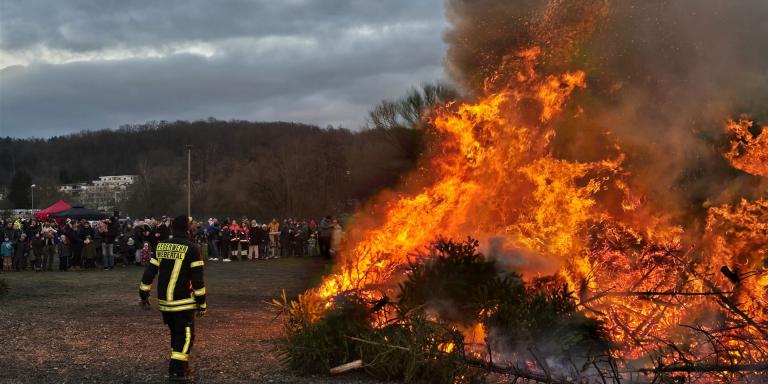 Die Tannenbäume von Weihnachten 2024 werden zum Glühen gebracht.