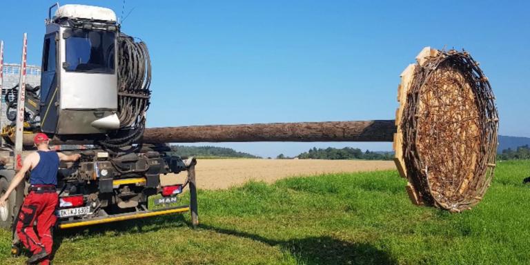 Storchennest aufgestellt