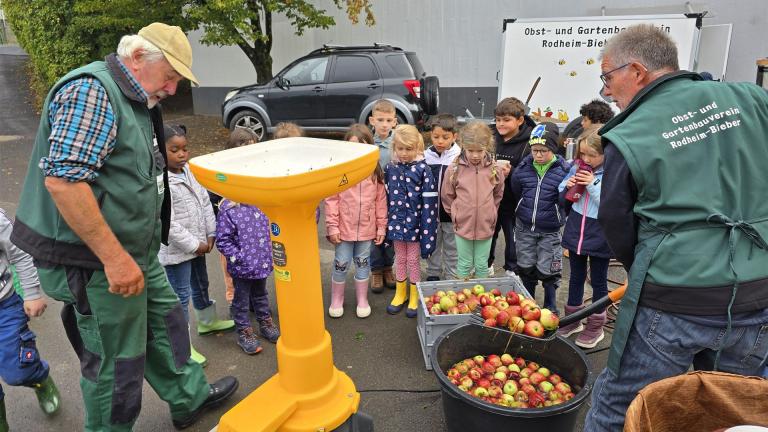 Keltern in der Grundschule 