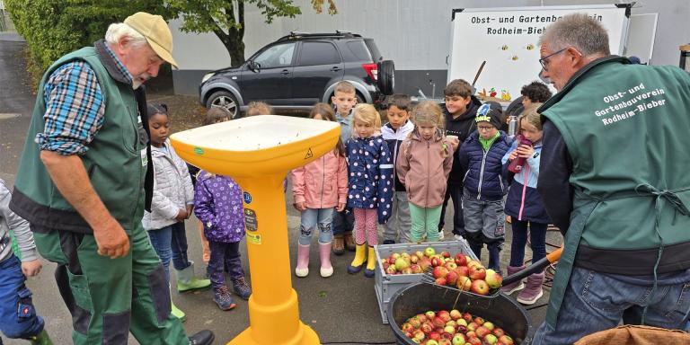 Keltern in der Grundschule 
