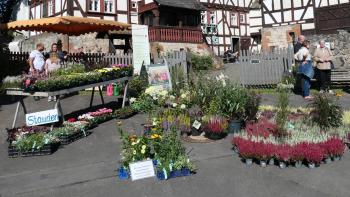 Herbststauden vor dem Bauerhausmuseum